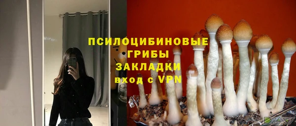 apvp Алзамай
