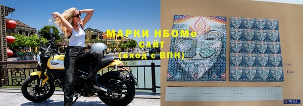 apvp Алзамай