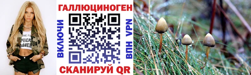 Купить где  Калач-на-Дону  Галлюциногенные грибы мицелий 