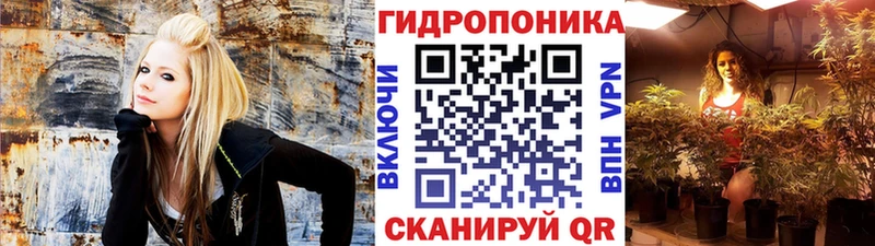 Купить закладки  Калач-на-Дону  Бошки марихуана AK-47 